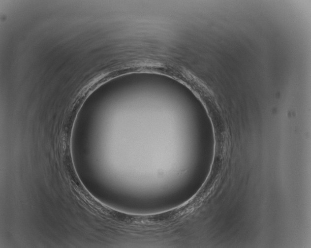 X0000085251169200703091250