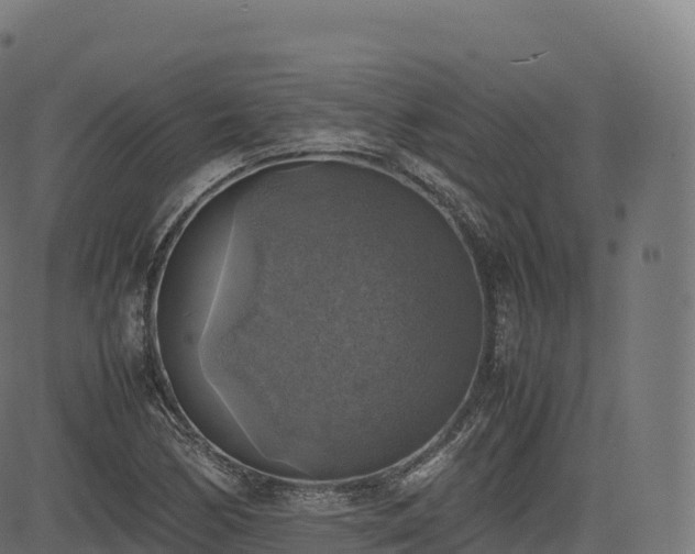 X0000085251170200703091250