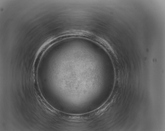 X0000085251172200703091250