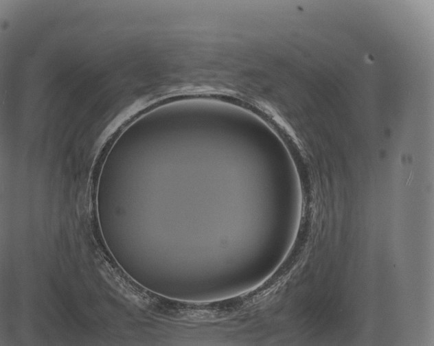 X0000085251173200703091250