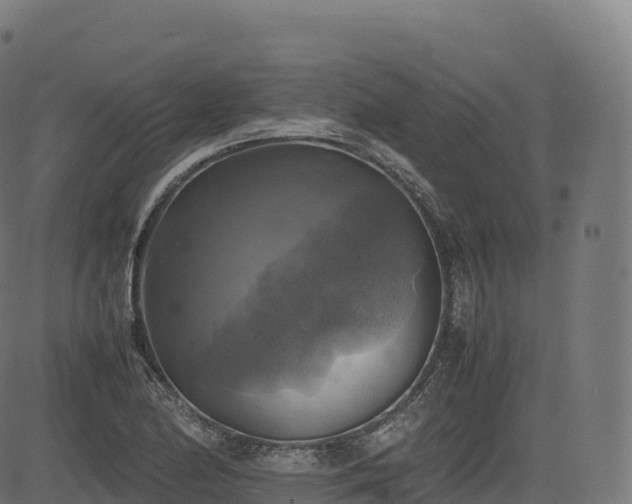 X0000085251174200703091250