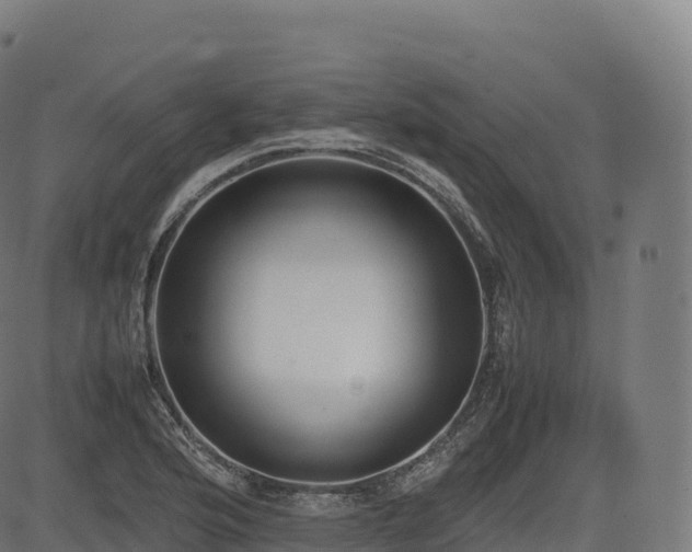 X0000085251176200703091250