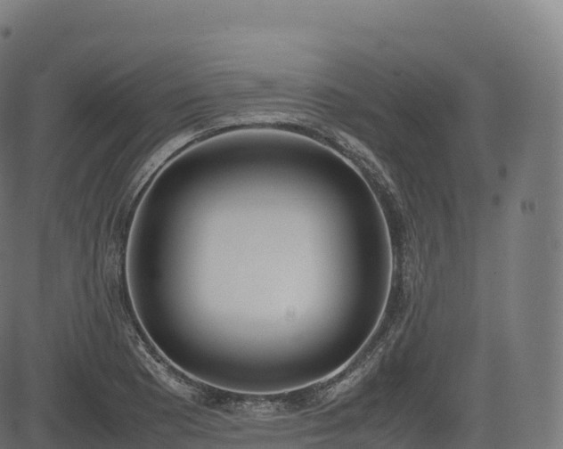 X0000085251177200703091250