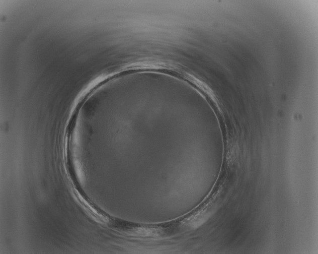 X0000085251179200703091250