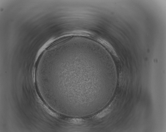 X0000085251180200703091250