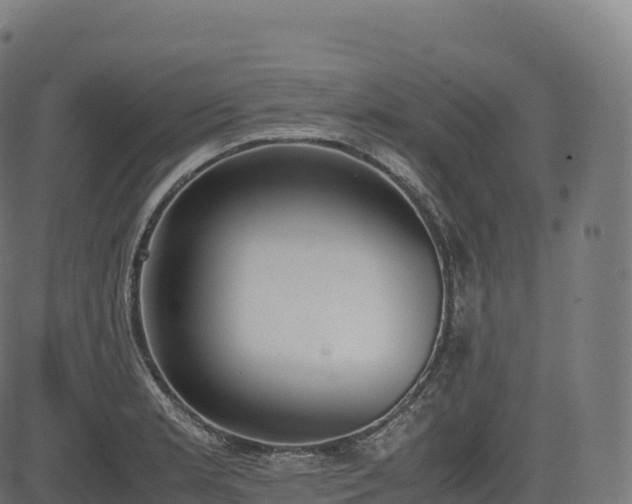 X0000085251181200703091250