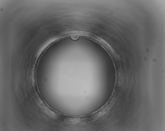 X0000085251182200703091250