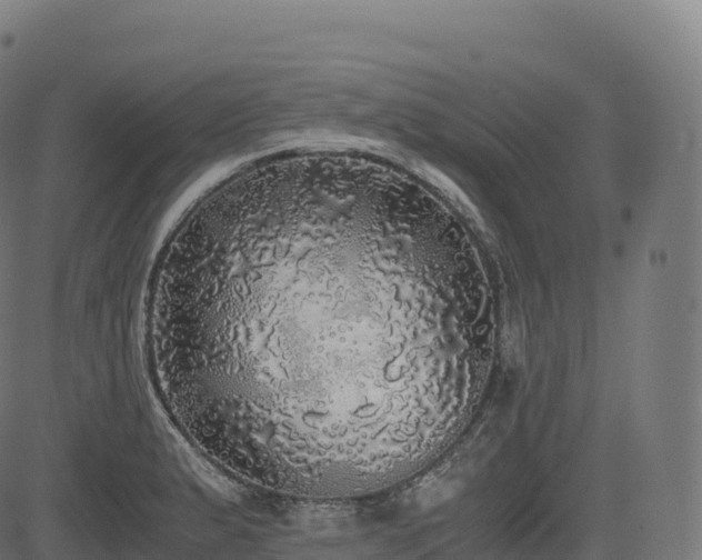 X0000085251183200703091250