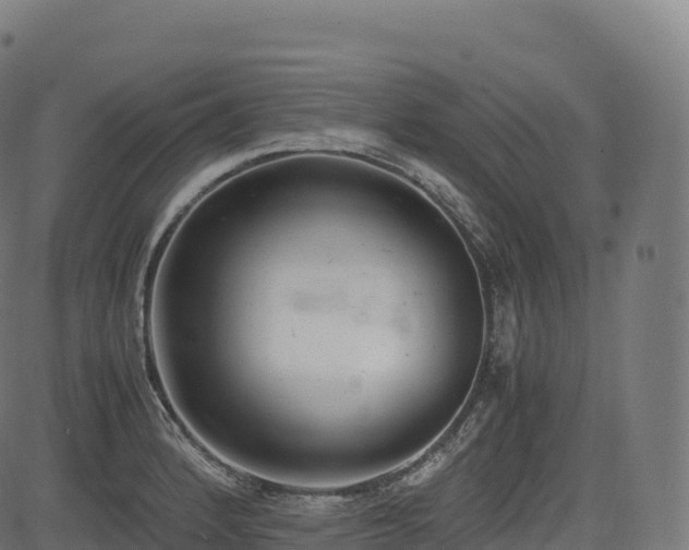 X0000085251184200703091250