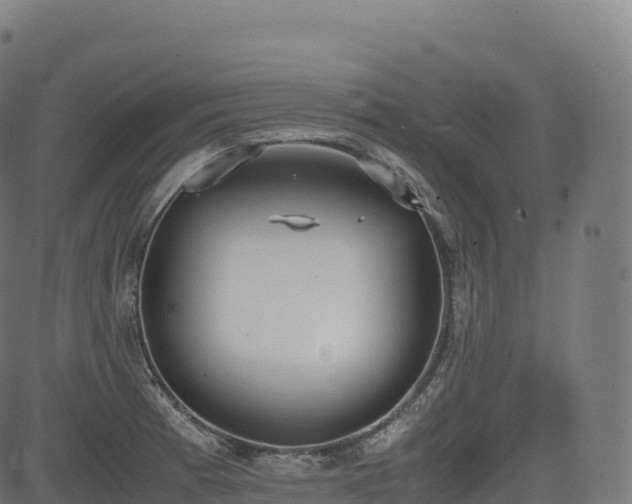 X0000085251185200703091250