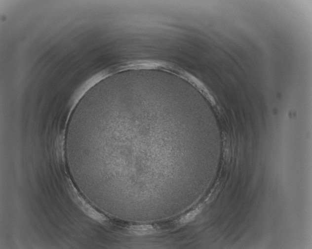 X0000085251186200703091250