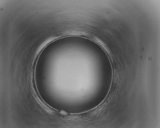 X0000085251187200703091250