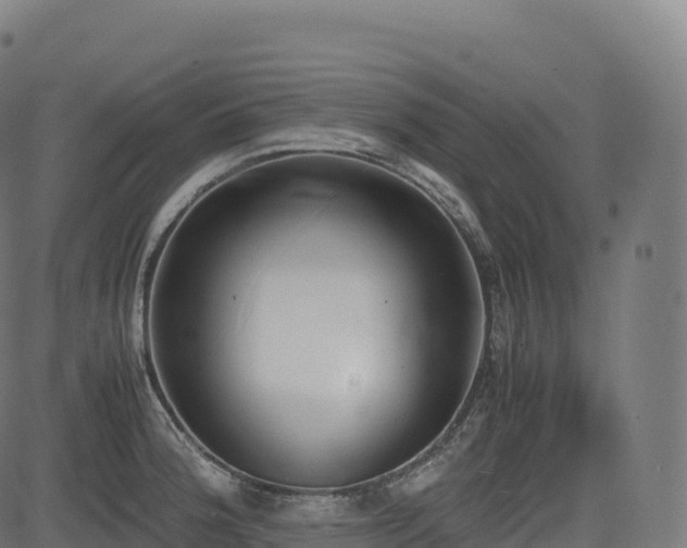 X0000085251188200703091250