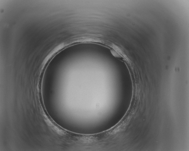 X0000085251189200703091250