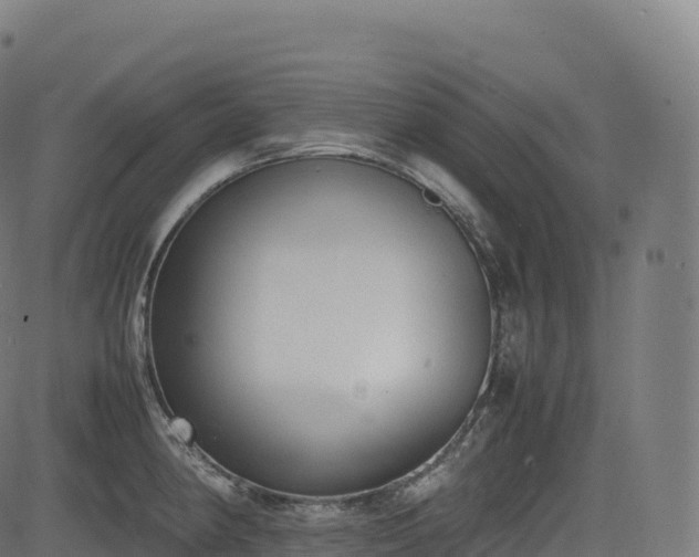 X0000085251190200703091250