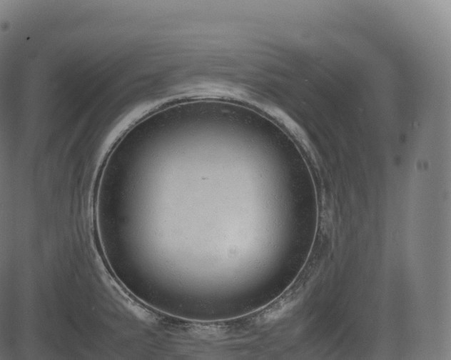 X0000085251191200703091250