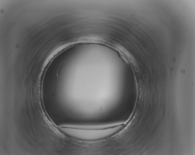 X0000085251192200703091250