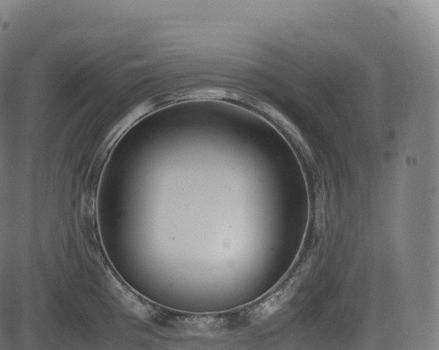 X0000085251193200703091250