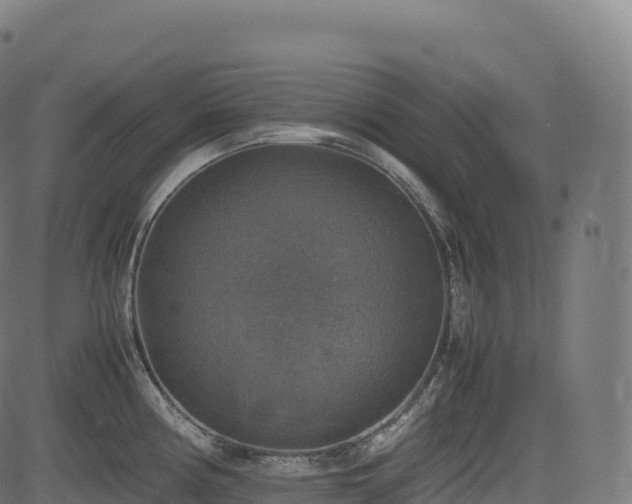 X0000085251194200703091250