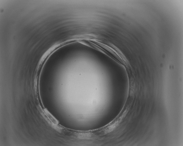 X0000085251196200703091250