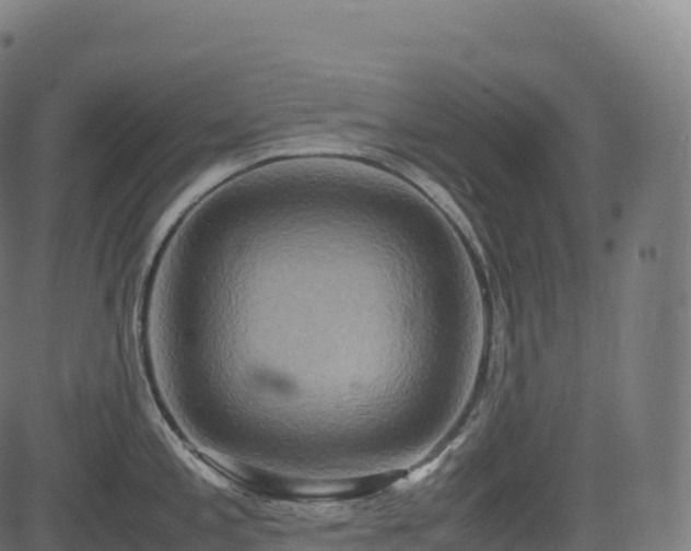 X0000085251197200703091250