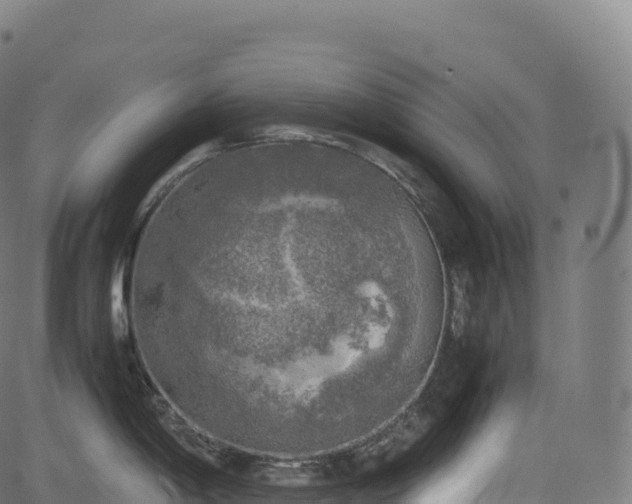 X0000085251198200703091250