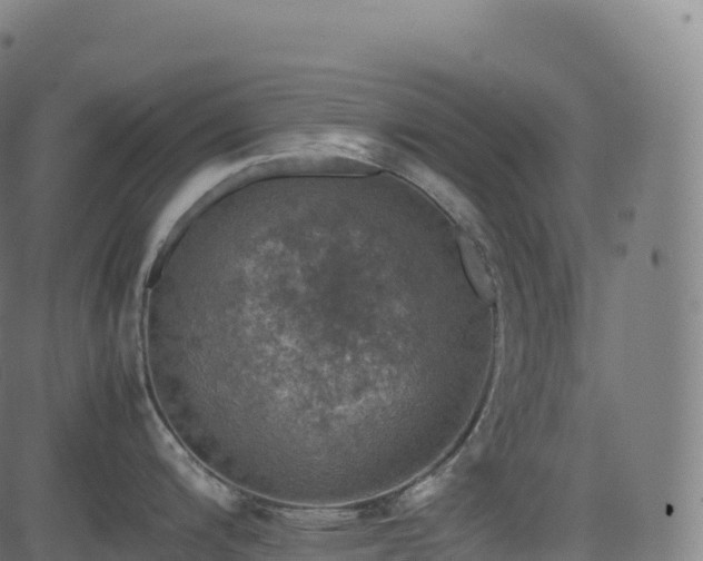 X0000085251200200703091250