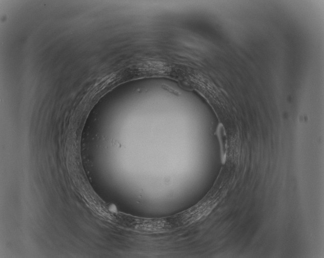 X0000085251201200703091249