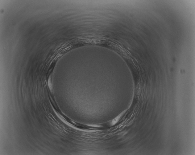 X0000085251202200703091249