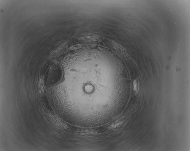 X0000085251203200703091249