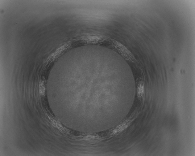 X0000085251204200703091249