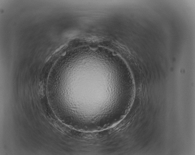 X0000085251205200703091249