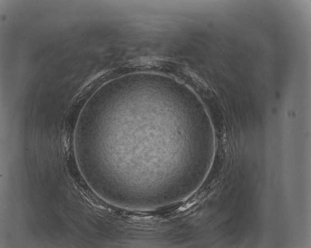 X0000085251206200703091249