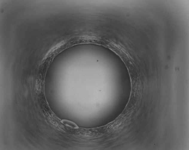 X0000085251207200703091249