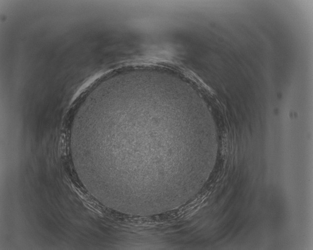 X0000085251208200703091249