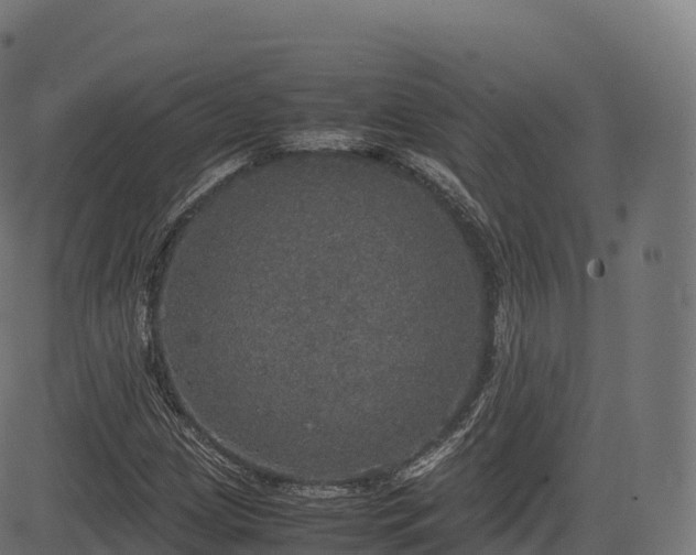 X0000085251209200703091249