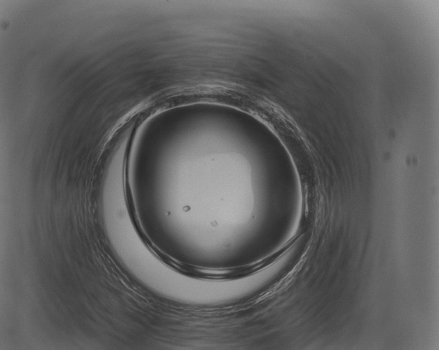 X0000085251210200703091249