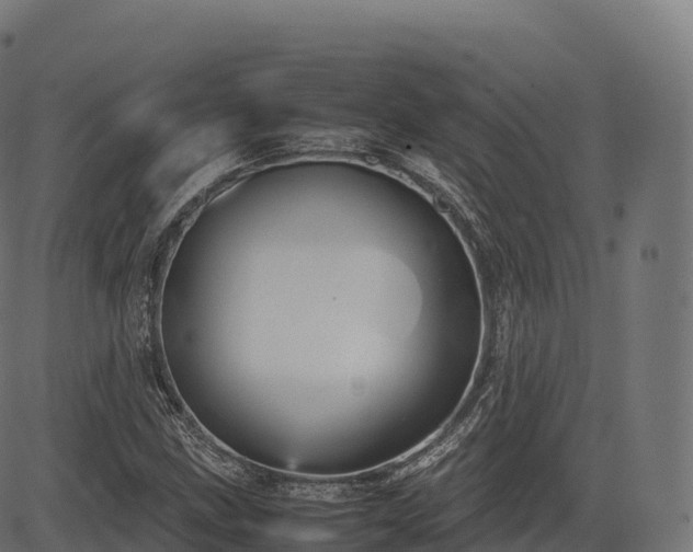 X0000085251211200703091249