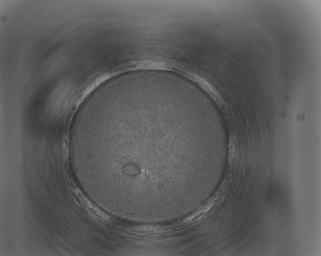 X0000085251212200703091249