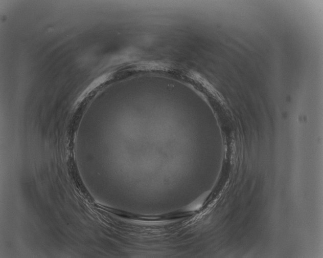 X0000085251213200703091249