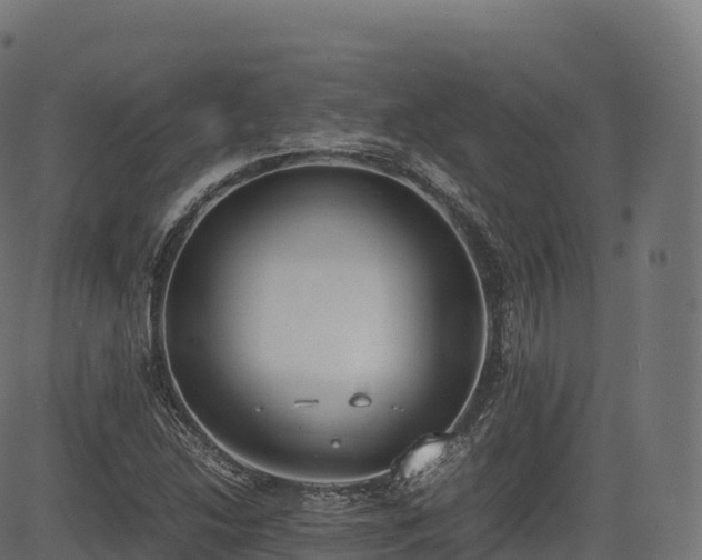 X0000085251214200703091249