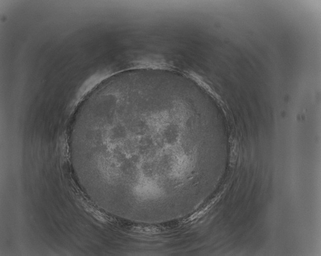 X0000085251215200703091249