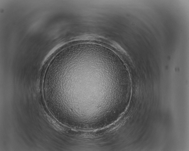 X0000085251216200703091249