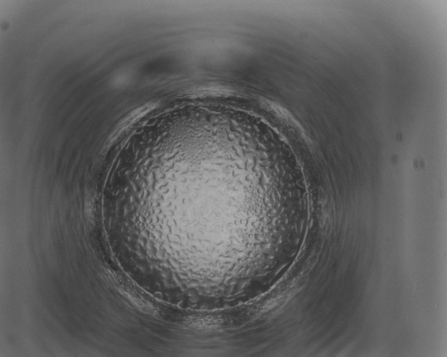 X0000085251217200703091249