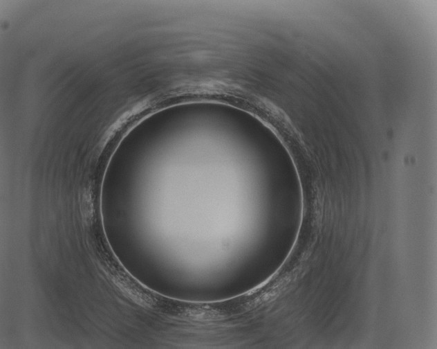 X0000085251218200703091249