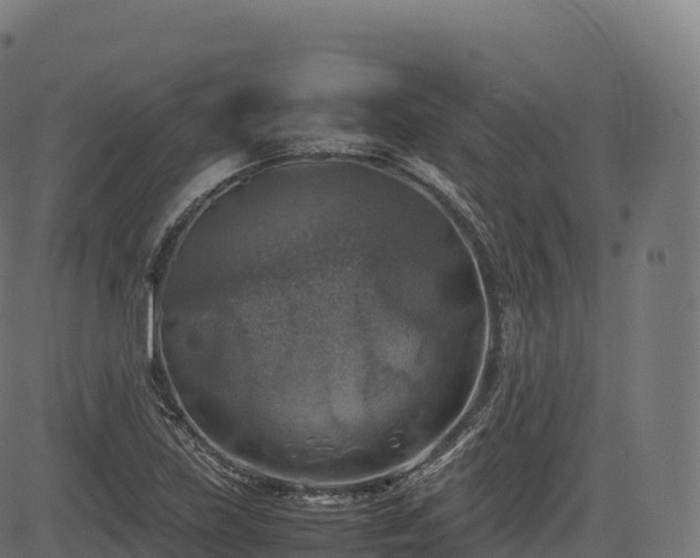 X0000085251219200703091249