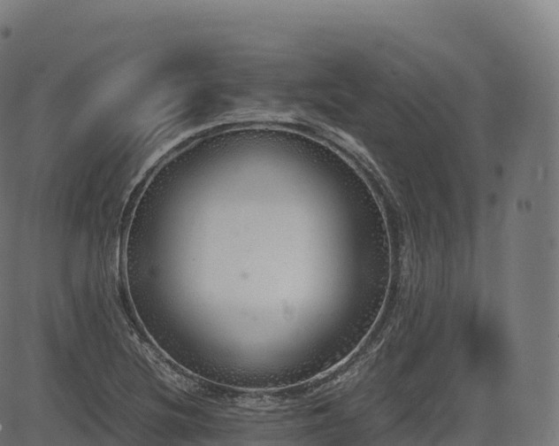 X0000085251220200703091249