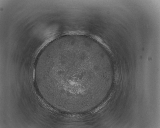 X0000085251221200703091249