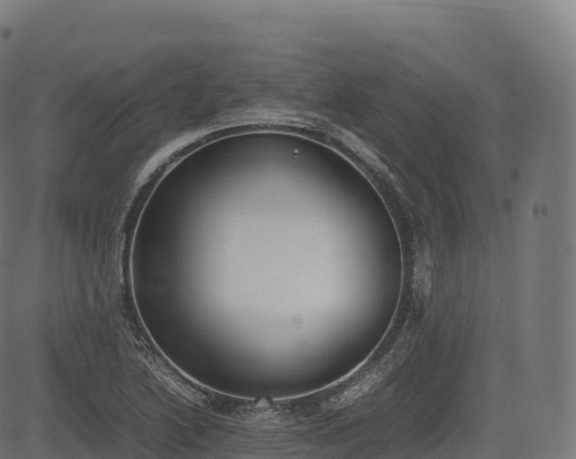 X0000085251222200703091249