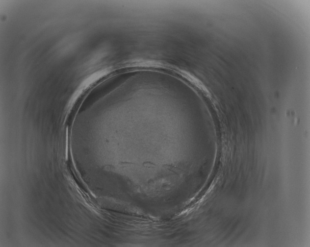 X0000085251223200703091249